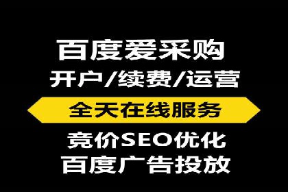 从新手到高手：百度竞价实战案例分析